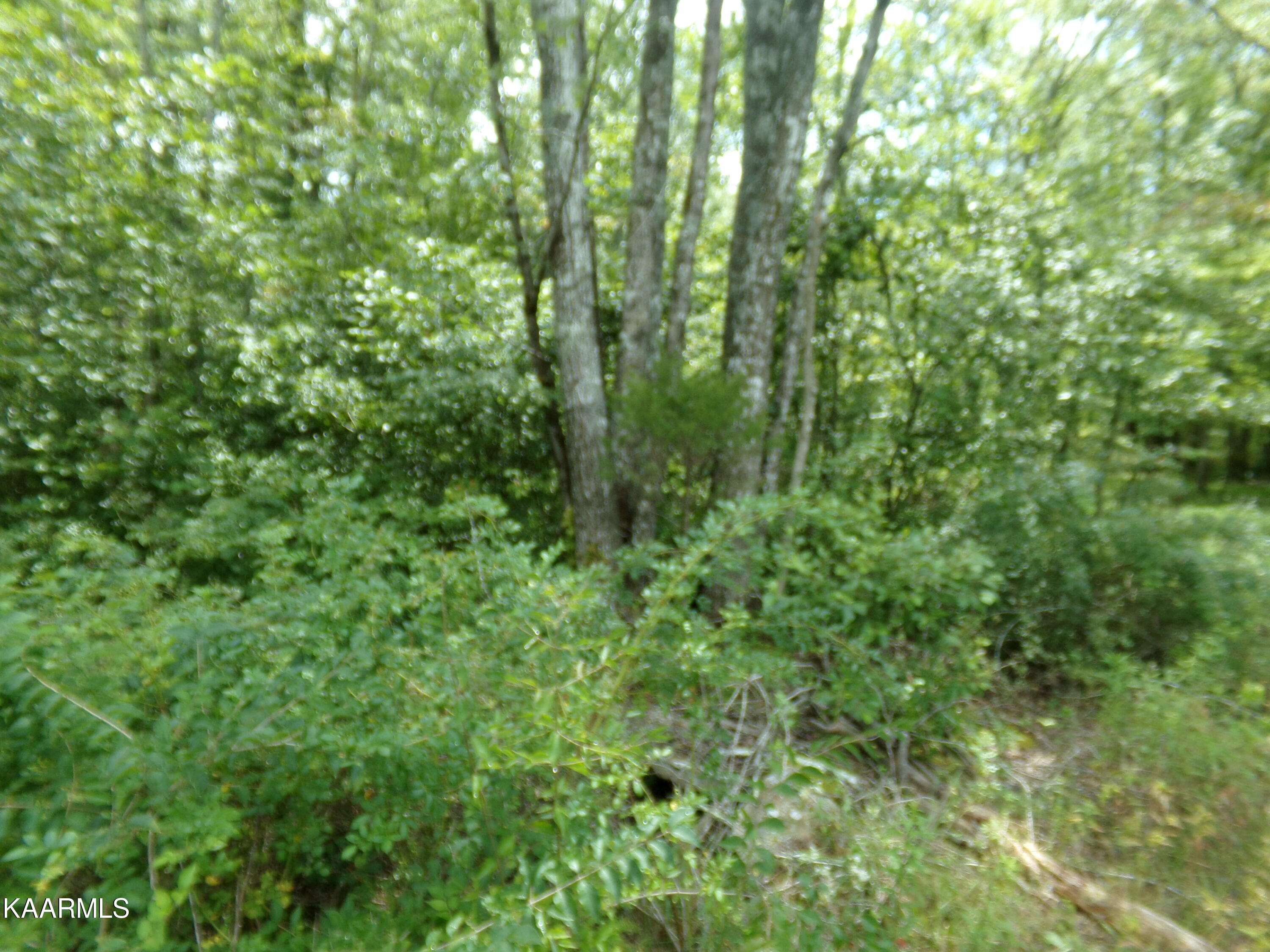 2000 Okmulgee Lane