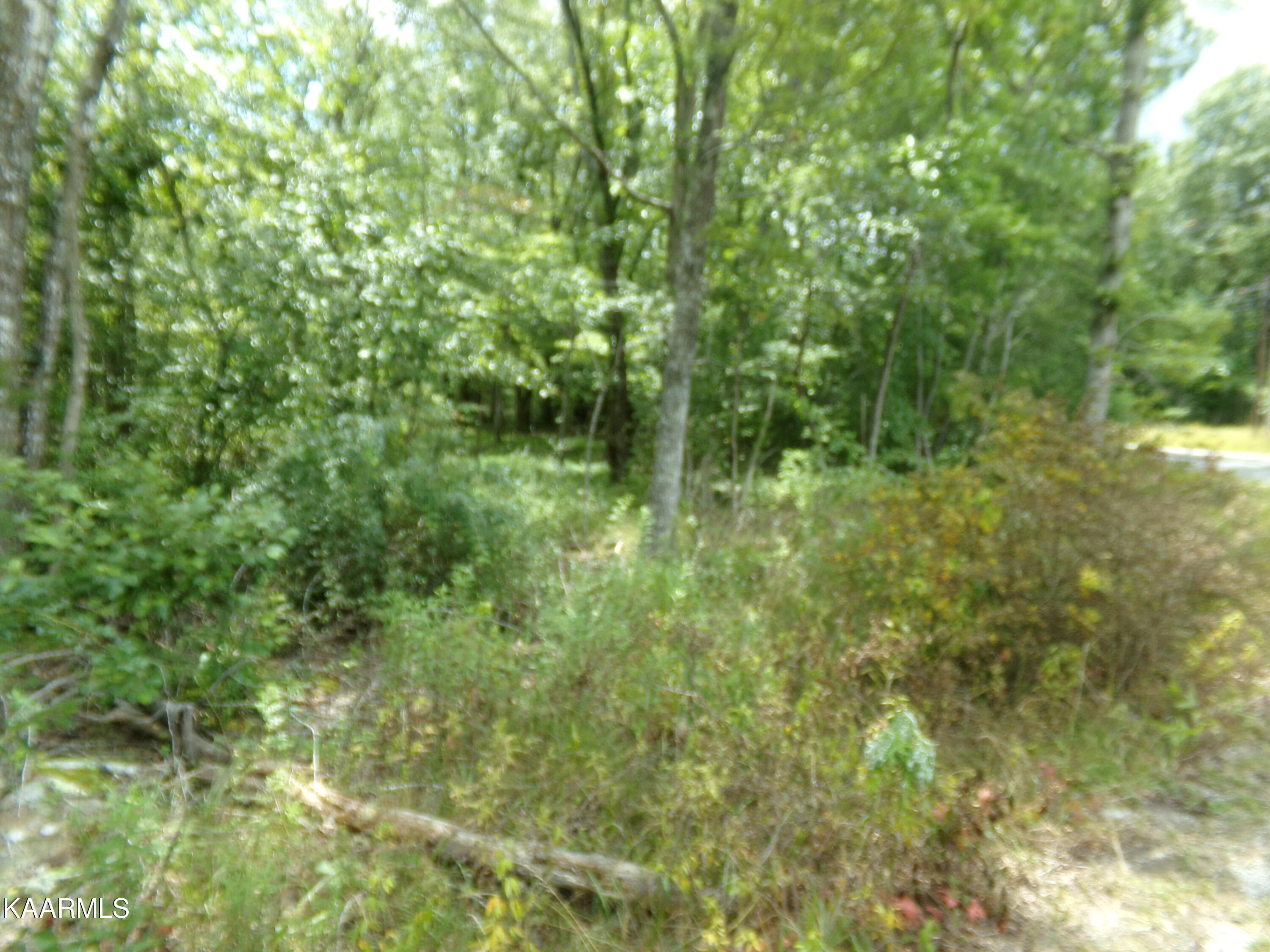 2000 Okmulgee Lane