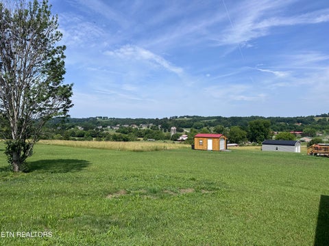 Tiny photo for 116 Twelve Oaks Drive, Madisonville, TN 37354 (MLS # 1342938)