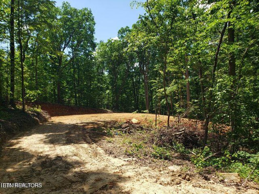 Photo of 1511 Prettiest Sunset Way, Seymour, TN 37865 (MLS # 1299716)