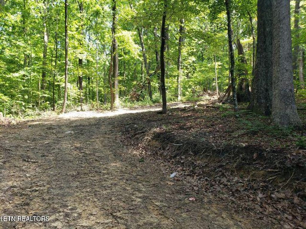 Photo of 1511 Prettiest Sunset Way, Seymour, TN 37865 (MLS # 1299716)