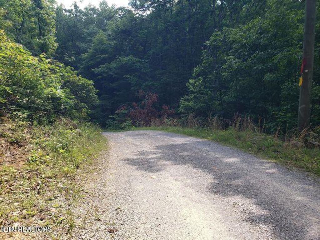 Photo of 1511 Prettiest Sunset Way, Seymour, TN 37865 (MLS # 1299716)