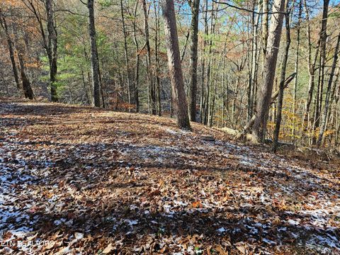 Tiny photo for 231 Low Gap Tr, Townsend, TN 37882 (MLS # 1321683)