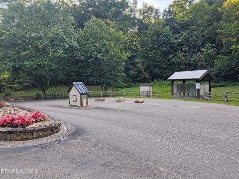 Tiny photo for 231 Low Gap Tr, Townsend, TN 37882 (MLS # 1321683)