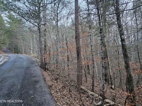 Tiny photo for 231 Low Gap Tr, Townsend, TN 37882 (MLS # 1321683)