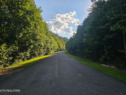 Tiny photo for 231 Low Gap Tr, Townsend, TN 37882 (MLS # 1321683)