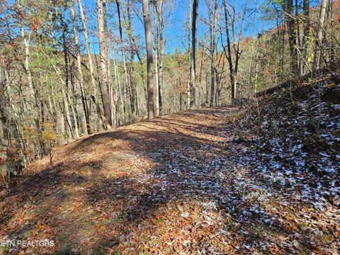 Tiny photo for 231 Low Gap Tr, Townsend, TN 37882 (MLS # 1321683)