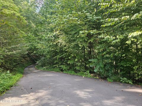 Tiny photo for 231 Low Gap Tr, Townsend, TN 37882 (MLS # 1321683)