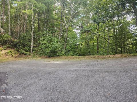 Tiny photo for 231 Low Gap Tr, Townsend, TN 37882 (MLS # 1321683)