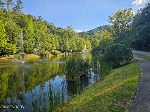 Tiny photo for 231 Low Gap Tr, Townsend, TN 37882 (MLS # 1321683)