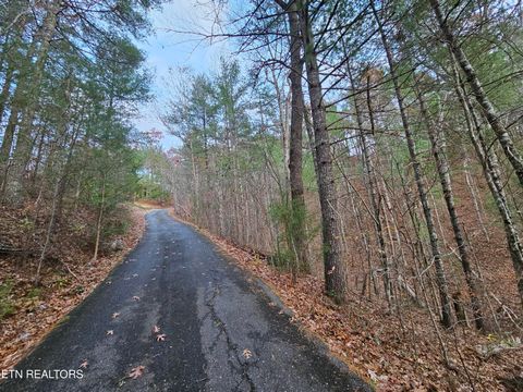 Tiny photo for 231 Low Gap Tr, Townsend, TN 37882 (MLS # 1321683)