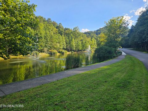 Tiny photo for 231 Low Gap Tr, Townsend, TN 37882 (MLS # 1321683)
