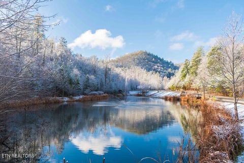 Tiny photo for 231 Low Gap Tr, Townsend, TN 37882 (MLS # 1321683)