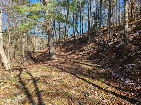 Tiny photo for 231 Low Gap Tr, Townsend, TN 37882 (MLS # 1321683)