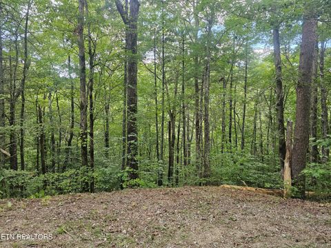 Tiny photo for 231 Low Gap Tr, Townsend, TN 37882 (MLS # 1321683)