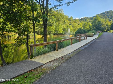 Tiny photo for 231 Low Gap Tr, Townsend, TN 37882 (MLS # 1321683)