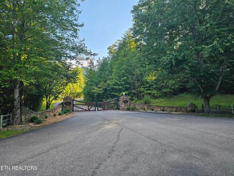 Tiny photo for 231 Low Gap Tr, Townsend, TN 37882 (MLS # 1321683)