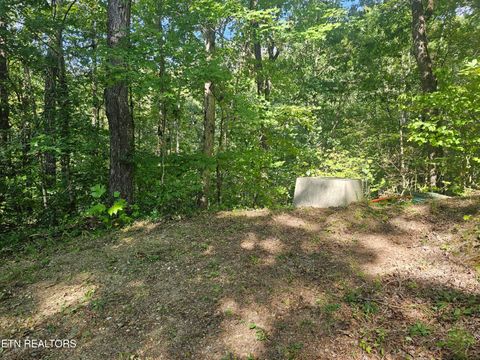 Tiny photo for 231 Low Gap Tr, Townsend, TN 37882 (MLS # 1321683)