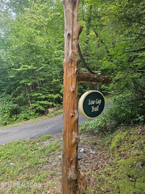 Photo of 231 Low Gap Tr, Townsend, TN 37882 (MLS # 1321683)