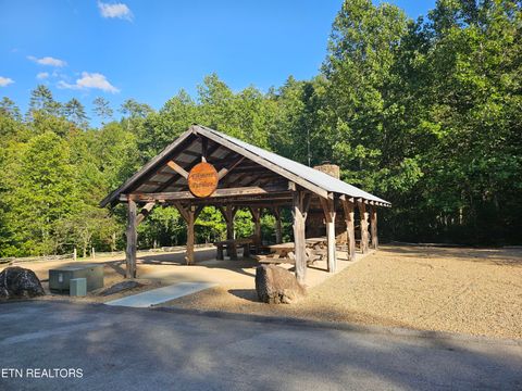 Tiny photo for 231 Low Gap Tr, Townsend, TN 37882 (MLS # 1321683)