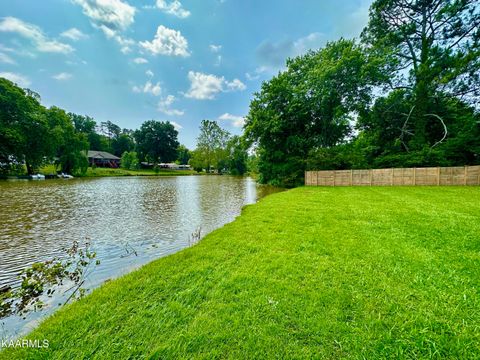 Tiny photo for 1567 Chandler Station Rd, Louisville, TN 37777 (MLS # 1341420)