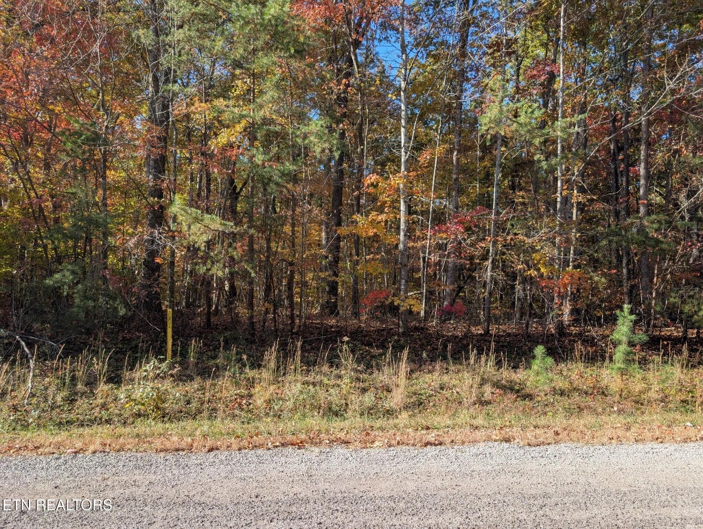 Photo of Tanner Drive - Lot 6, Monterey, TN 38574 (MLS # 1360589)
