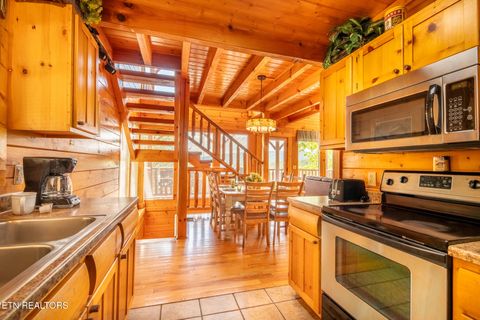 Tiny photo for 907 Black Bear Cub Way, Sevierville, TN 37862 (MLS # 1323083)