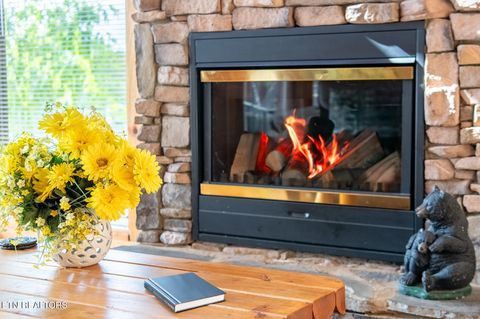 Tiny photo for 907 Black Bear Cub Way, Sevierville, TN 37862 (MLS # 1323083)