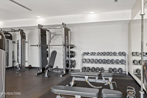 Tiny photo for 333 W Depot Ave #305, Knoxville, TN 37917 (MLS # 1319569)