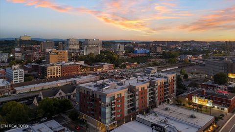 Tiny photo for 333 W Depot Ave #305, Knoxville, TN 37917 (MLS # 1319569)