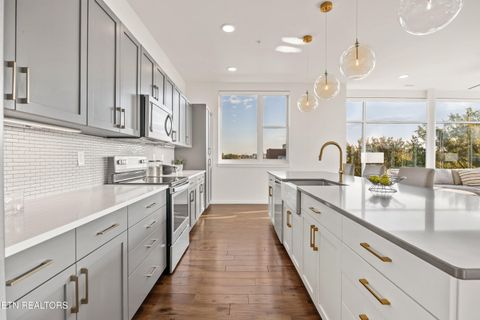 Tiny photo for 333 W Depot Ave #305, Knoxville, TN 37917 (MLS # 1319569)