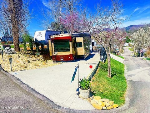 Photo of 68 Highway 73, Townsend, TN 37882 (MLS # 1308723)