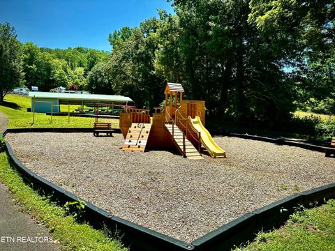 Tiny photo for 68 Highway 73, Townsend, TN 37882 (MLS # 1308723)