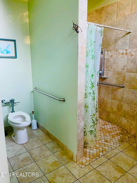 Tiny photo for 68 Highway 73, Townsend, TN 37882 (MLS # 1308723)