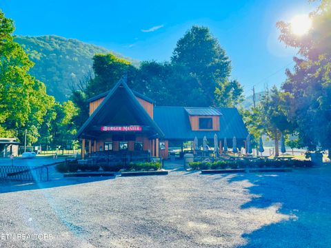 Tiny photo for 68 Highway 73, Townsend, TN 37882 (MLS # 1308723)