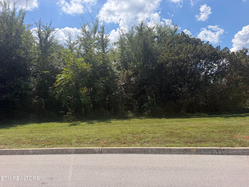 Photo of 101 Falcon TRL, Vonore, TN 37885 (MLS # 1355245)
