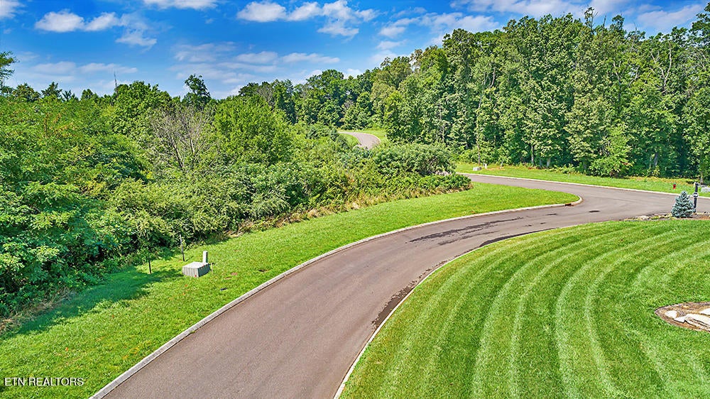 Photo of 101 Falcon TRL, Vonore, TN 37885 (MLS # 1355245)