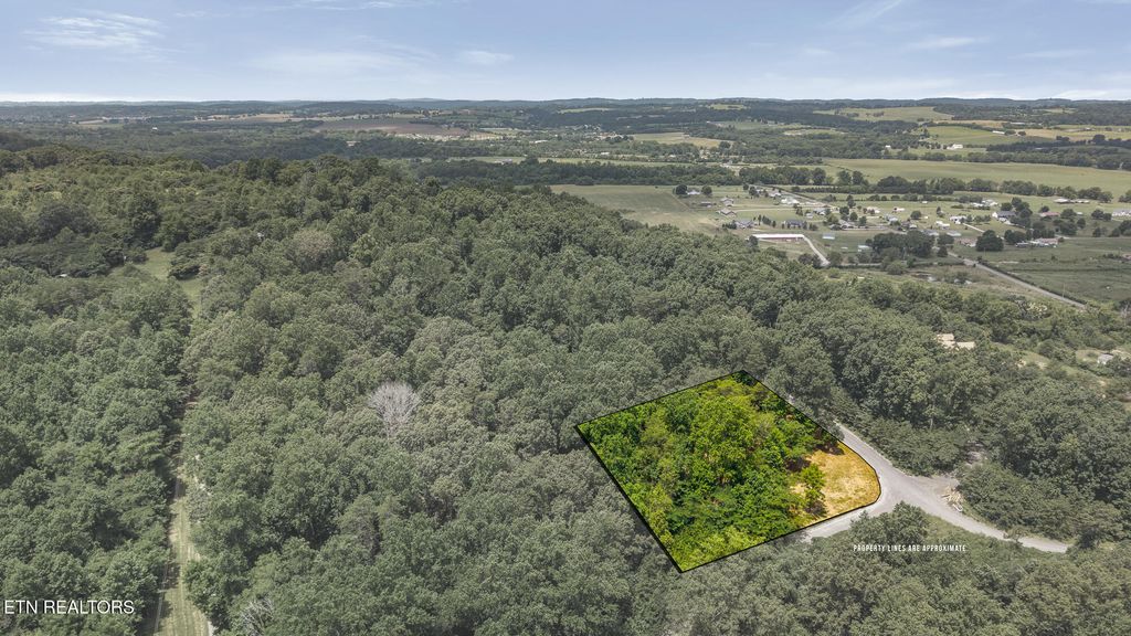 Photo of 00 Lot 41 Poplar Drive, Sweetwater, TN 37874 (MLS # 1308300)