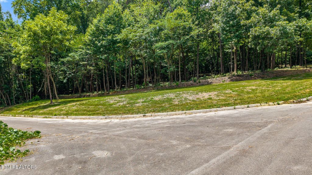 Photo of 00 Lot 41 Poplar Drive, Sweetwater, TN 37874 (MLS # 1308300)
