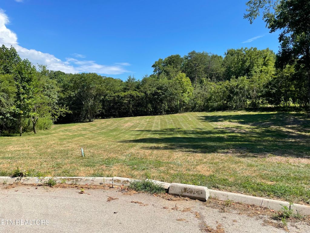 Photo of 00 Lot 41 Poplar Drive, Sweetwater, TN 37874 (MLS # 1308300)
