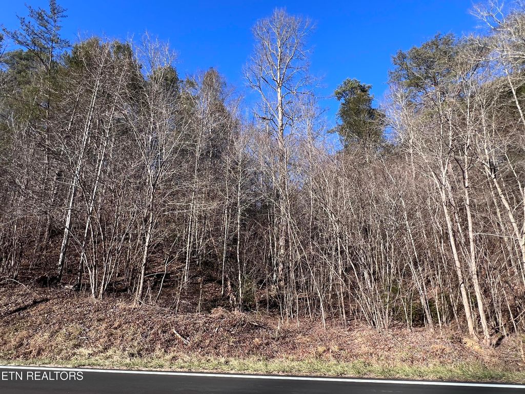 Photo of Lot 17 &amp; 18 Jones Cove Rd, Sevierville, TN 37876 (MLS # 1327239)