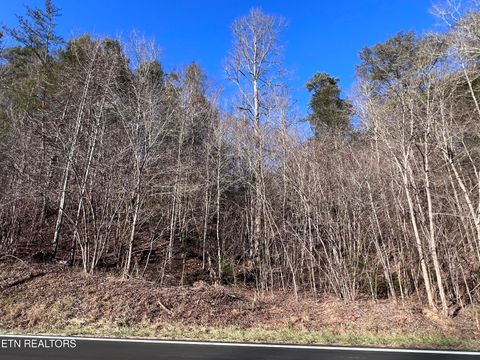 Photo of Lot 17 & 18 Jones Cove Rd, Sevierville, TN 37876 (MLS # 1327239)