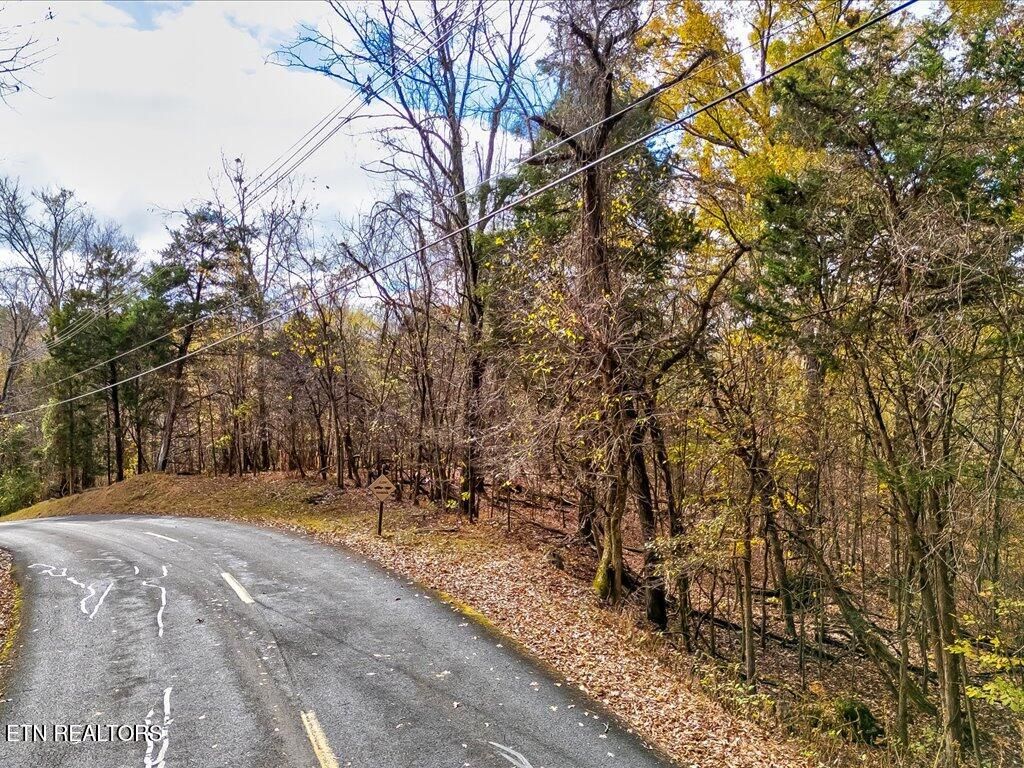 Photo of 365 Chelaque Way, Mooresburg, TN 37811 (MLS # 1283067)