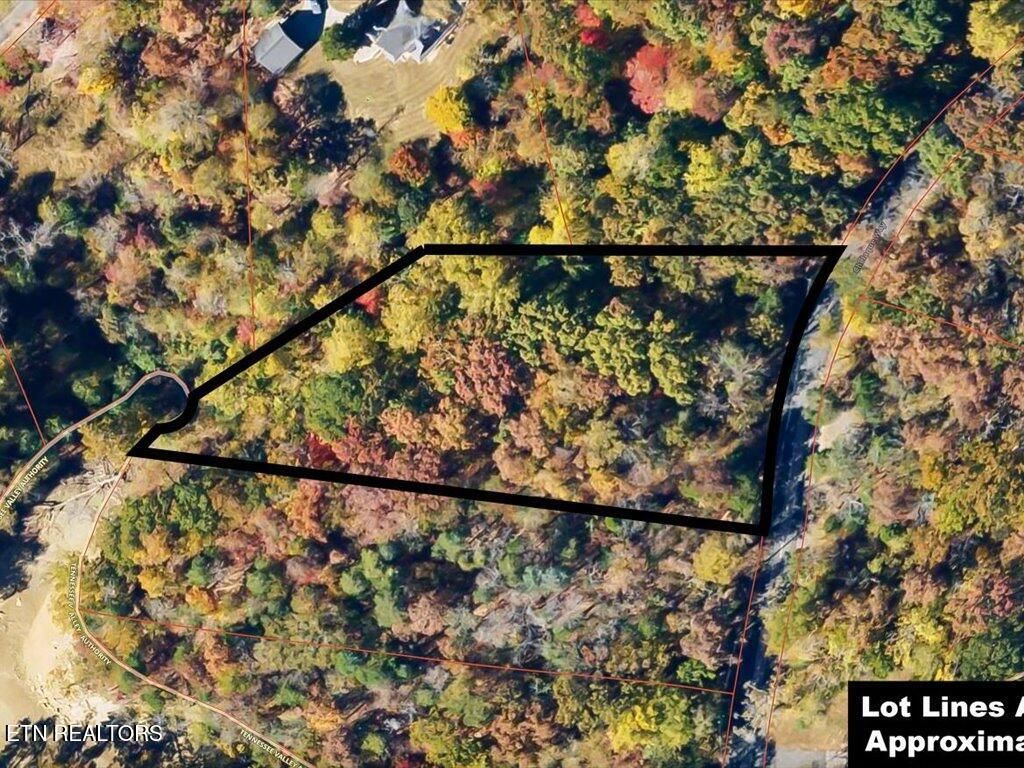 Photo of 365 Chelaque Way, Mooresburg, TN 37811 (MLS # 1283067)