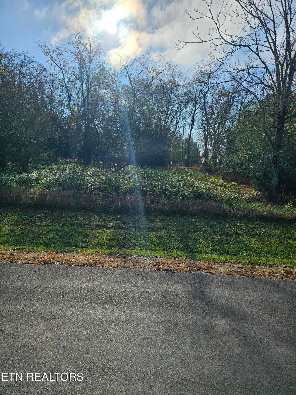 Photo of 131 Dudi Tr, Vonore, TN 37885 (MLS # 1281313)