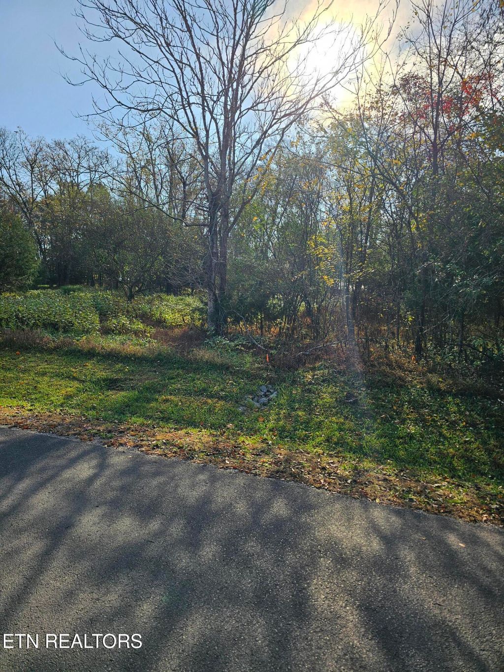 Photo of 131 Dudi Tr, Vonore, TN 37885 (MLS # 1281313)