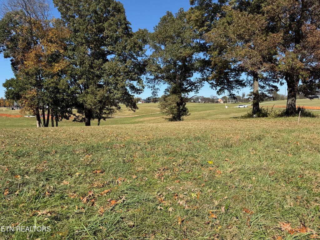 Photo of Temple Rd, Seymour, TN 37865 (MLS # 1325495)