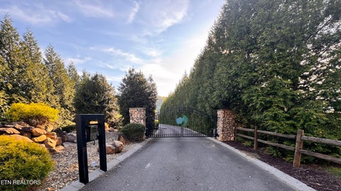 Tiny photo for 145 River Rapids Way, Del Rio, TN 37727 (MLS # 1344736)