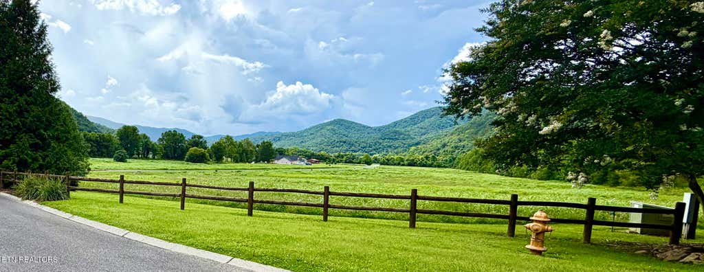 Photo of 145 River Rapids Way, Del Rio, TN 37727 (MLS # 1344736)