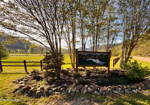 Tiny photo for 145 River Rapids Way, Del Rio, TN 37727 (MLS # 1344736)